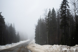 Горнолыжный комплекс «Гора Белая». Свердловская область, лес, дорога, туман