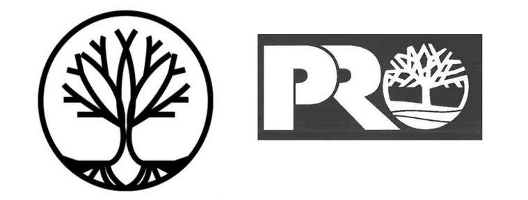 Слева — заявка пермского бренда. А справа — официальный логотип американской фирмы
