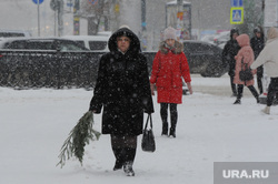 Снегопад. Челябинск, елка, пешеход, женщина, снегопад