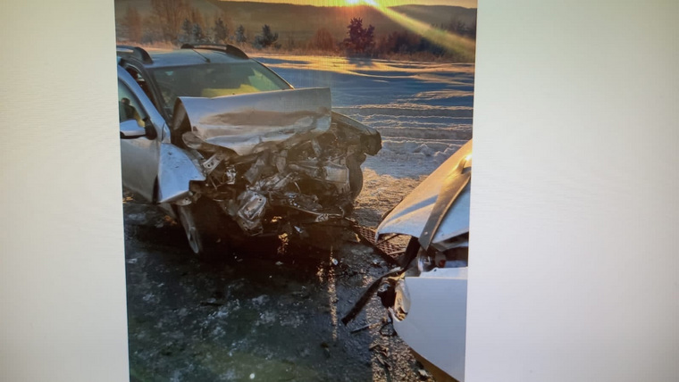 Водитель и пассажир, находящиеся в Renault Sandero, получили травмы