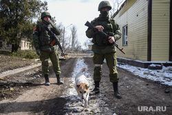 Волноваха после освобождения. ДНР, Волноваха, собака, военные, днр, патруль, ополченец, военная комендатура, патрулирование, зачистка, солдат, народная милиция, армия днр, солдат с автоматом