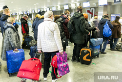 Аэропорт Рощино. Тюмень, аэропорт, очередь , багаж, рощино, люди с сумками