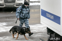 Клипарт "Полиция, доставка подследственного". Москва, автозак, собака, кинолог, полиция, полицейский, воронок