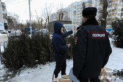 Рейд по местам несанкционированной торговли елками. Челябинск, елки, полиция, елочный базар, торговля елками