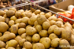 В челябинских гипермаркетах повысились цены на капусту и картофель. Фото