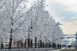 Мороз в городе. Пермь, зима, иней, комсомольский проспект, компроспект