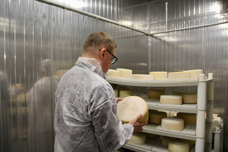 Брединский сыр расходится по всей Челябинской области