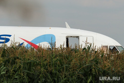 Самолет «Уральские авиалинии», совершивший аварийную посадку на кукурузном поле. Московская область, уральские авиалинии, airbus А321, аварийная посадка, аэробус а321, эйрбас