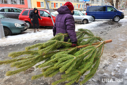 Гололед. Курган , елка, новый год