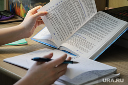 Дистанционное обучение. Клипарт. Курган, учеба, учебники, урок в школе, школа, уроки, школьные принадлежности, удаленка, дистанционное обучение, удаленное обучение, домашнее задание