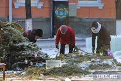 Строительство ледового  городка на центральной площади. Курган , елки выбросили, женщины, подготовка к празднику, новый год, праздник