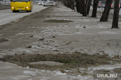 Пыльный грязный Екатеринбург. Город без снега, пыль в городе, грязный снег