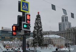 Ветреная погода в Екатеринбурге. Екатеринбург , елка, ледовый городок, светофор, новый год