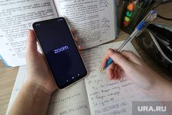 Клипарт на тему дистанционного обучения. Курган, сотовый телефон, учебники, домашнее обучение, видеоконференция, мобильный телефон, удаленка, дистанционное обучение, zoom, дистант, зум, урокионлайн