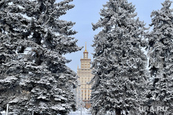 1 января. Челябинск, холод, зима, погода, юургу, деревья в снегу, виды города, мороз