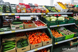 Raid in the shops of the cities of Chelyabinsk and Kopeysk.  Chelyabinsk, vegetables, products, tomatoes, supermarket, cucumbers, shop