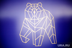 Интерактивная мультимедийная выставка «Моя Пермь – мое будущее». Пермь, медведь, рисунок, полигональная графика