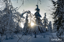 Зимний туризм. Красновишерск, зима, зимний лес, зимний закат, туристы, природа, тайга, поиск пропавших людей