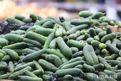 Магазин Метрополис. Курган , торговля, продукты, огурцы, опт, розница, оптовая