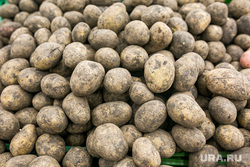 Products, vegetables and fruits.  Tyumen, vegetables, trade, potatoes, potatoes