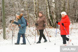 Первый снег. Тюмень, снег, бабушки, скандинавская ходьба, пожилые люди, активный отдых, пенсионеры, активный туризм, трава в снегу