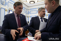 Заседание городской думы. Пермь, манин владимир, бурдин олег