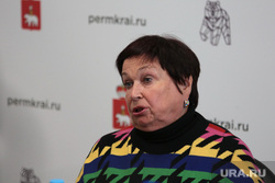 Прессконференция министра здравоохранения Пермского края. Пермь, фельдблюм ирина