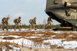В МИД РФ уличили НАТО в причастности к теракту в Брянской области