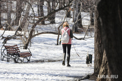 Собаки на улицах. Екатеринбург, собака, зима, пес, парк, питомцы, выгул