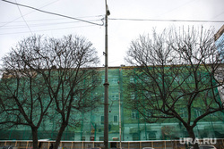 Улица Малышева в лесах, рестораны терпят убытки. Екатеринбург, лес, зеленый, фасад, город, ремонтные работы