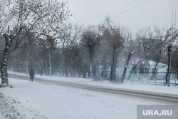 В городе снег и ветер. Курган, ветер, метель, пурга