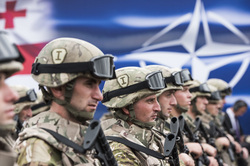 НАТО. stock, нато, грузия, nato, stock