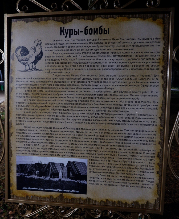В Платошино установлен стенд в память о мифе про «куриц-бомб»