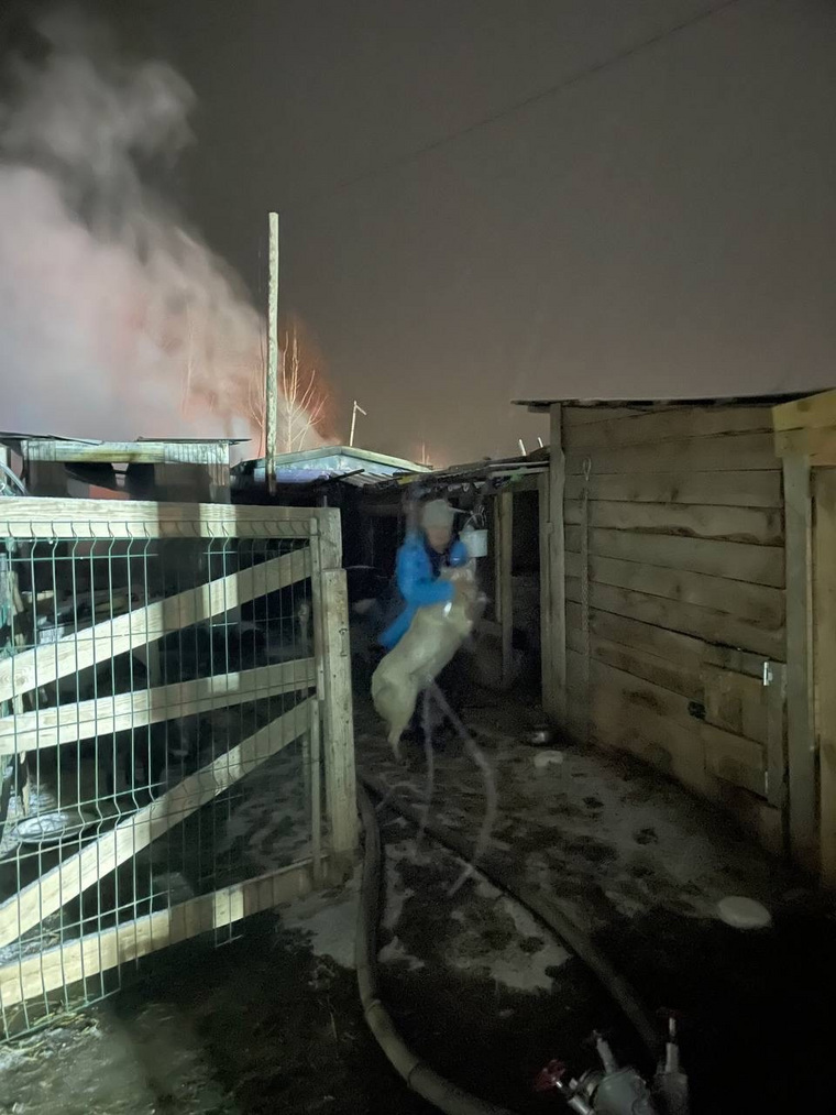 В поселке Садовом сгорел приют для животных