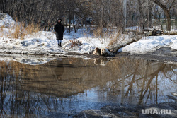 Проспект Конституции, дом 48. Курган, лужа, авария водопровода, весна