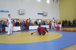 В Академическом прошли соревнования по самбо, организованные при поддержке ФСБ