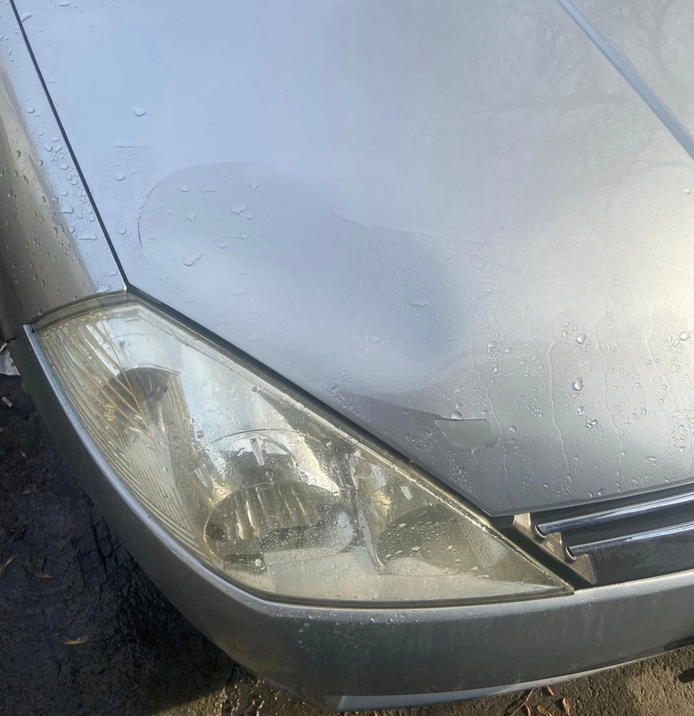 Автомобиль общественницы Марины Камшиловой пострадал от падения льда с крыши дома