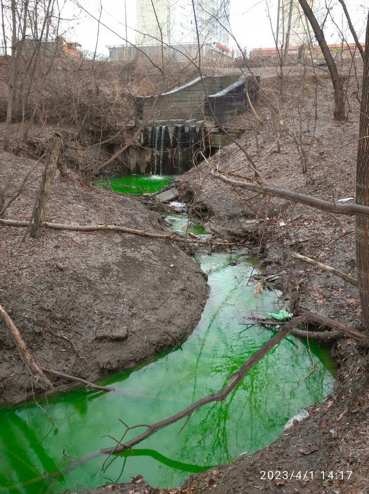 Пермские реки периодически окрашиваются в кислотные цвета