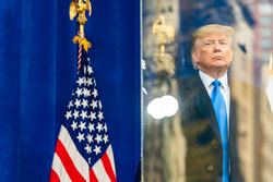 Дональд Трамп. stock, Дональд Трамп, stock