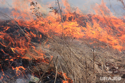Пресс-конференция МЧС Курган, пожар, огонь, трава горит