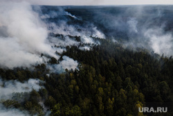 Лесной пожар на озере Глухое. Свердловская область, первоуральский городской округ, лес горит, лесной пожар, пожар в лесу, дым в лесу, пожар у озера глухое