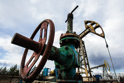 Качалки. Сургут, газ, газпром, топливо, роснефть, качалка, экономика, нефть, задвижка, месторождение, нефтедобыча, запорная арматура, добыча нефти, природные ресурсы, лукоил, сургутнефтегаз, куст нефтегазовый, цены на нефть, винтиль