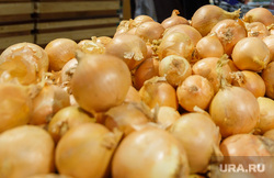 ТЦ «Лента». Магнитогорск, овощи, продукты, еда, лук репчатый