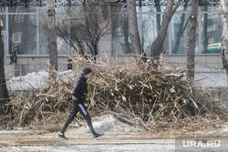 Александр Высокинский проверяет уборку районов. Екатеринбург, спиленные ветви деревьев