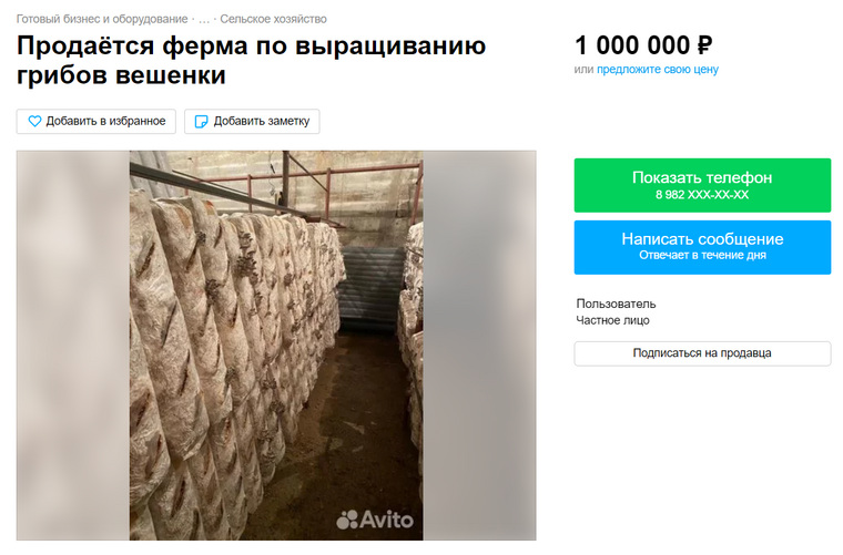 Грибная ферма бизнес план