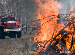 Пресс-конференция МЧС Курган, пожар, огонь, лес горит