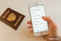 Клипарт Госуслуги. Тюмень, смартфон, госуслуги, паспорт, смартфон в руке