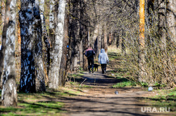 Клипарт. Виды города. Челябинск, лес, тропинка, парк