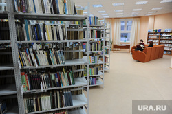 Клипарт. Снежинск. Челябинская область., библиотека, книги