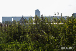 Клипарт, разное. Курганская область, элеватор, крапива, сорняк, заросли травы